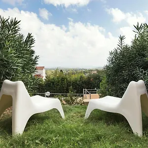  Casa vacanze Asfodelo 21